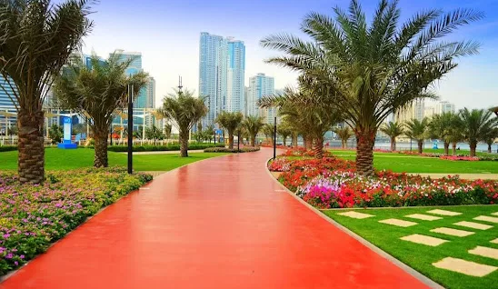 best things to do in sharjah