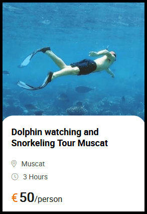 Dolphin watching and Snorkeling Tour Muscat