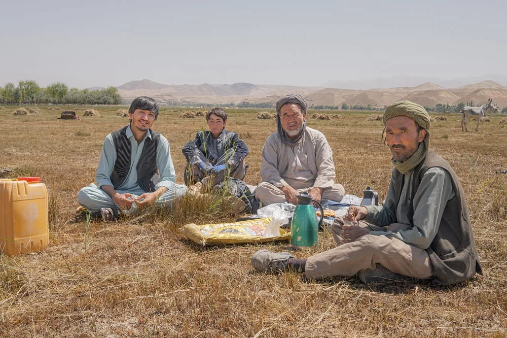 People sharing tea in a harvested field with hills in the distance