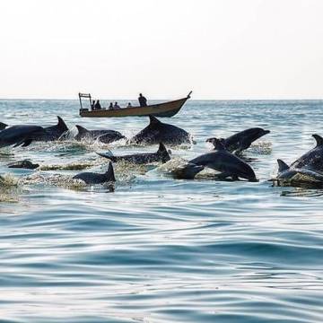 Hengam Island in One Day