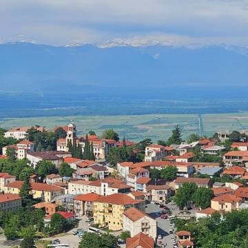 Kakheti Wine Region: Full-Day Private Tour