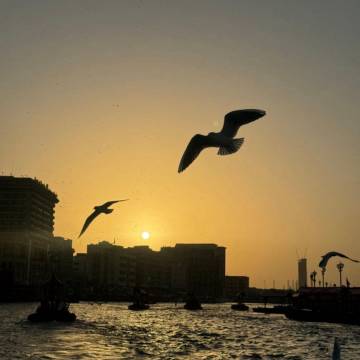 Dubai: Old Town, Creek, Museums, Souks, & Street Food Tour