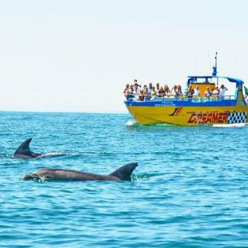 Muscat Dolphin Watching Tour