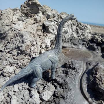 Gobustan World Heritage and Mud Vulcanoes Day Tour The tickets to the Moon!