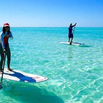 Paddle board in the Mangrove Forest