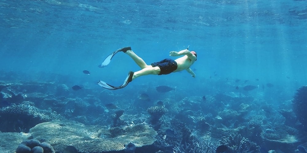 Dolphin watching and Snorkeling Tour Muscat